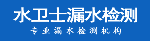 龙凤区暗管漏水检测
