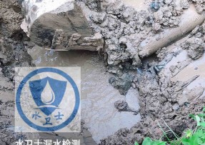龙凤区水管漏水检测公司5